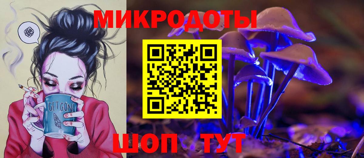 Галлюциногенные грибы Psilocybe Назарово